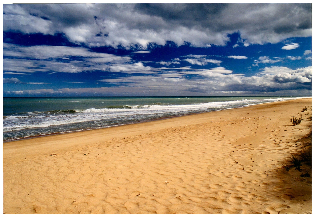 04 The Great Ocean Road (23).jpg